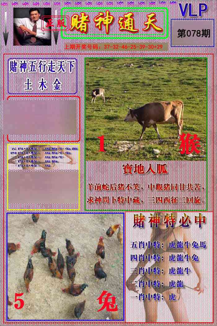 078期赌神通天报[图]