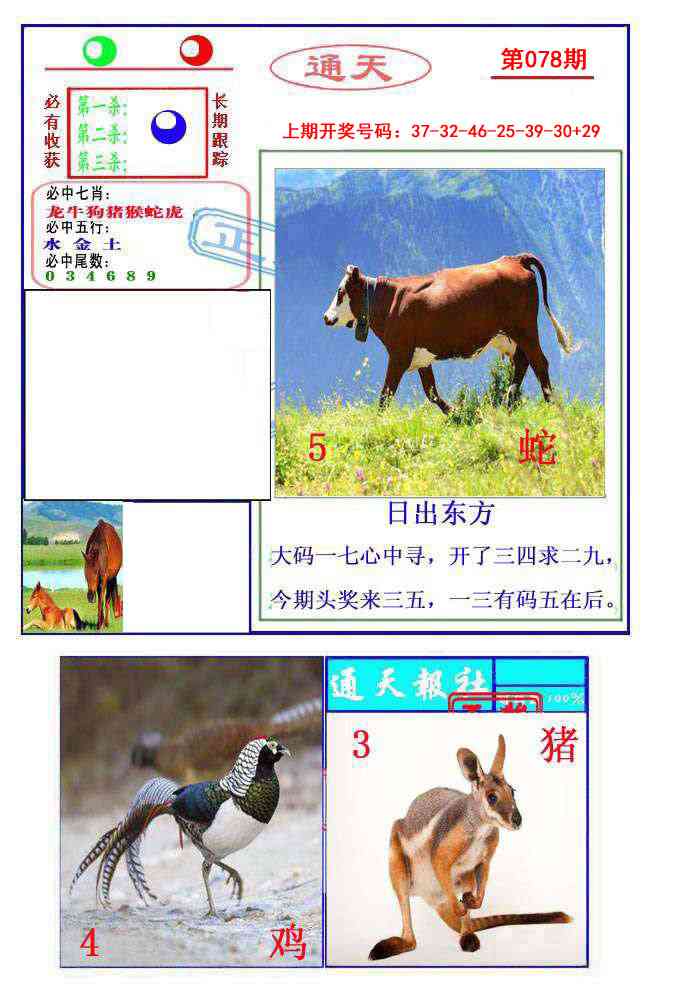 078期通天杀波图2[图]